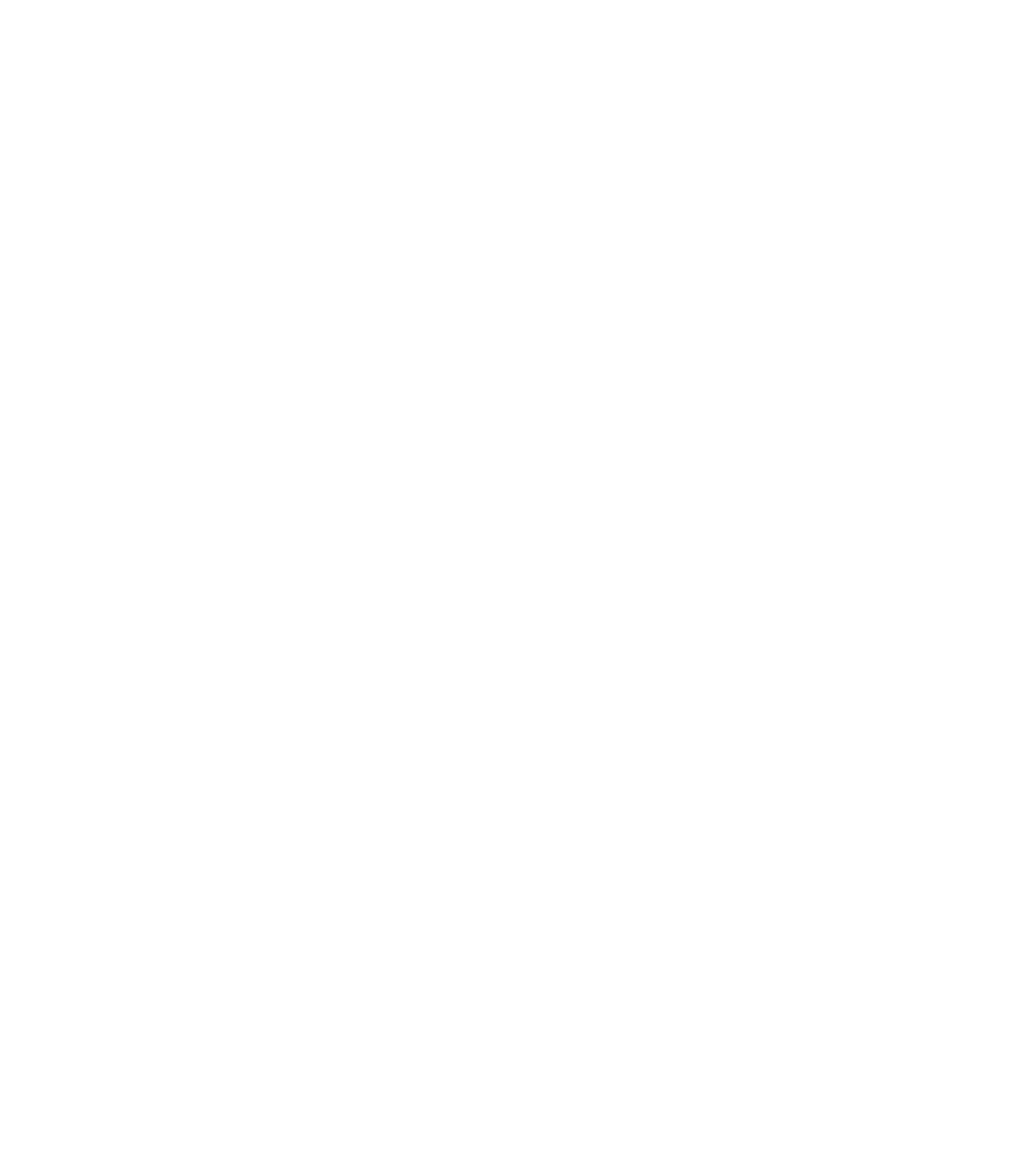 Logo_NaturfriseurKarin_white
